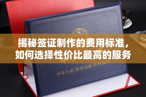 道里揭秘签证制作的费用标准，如何选择性价比最高的服务？